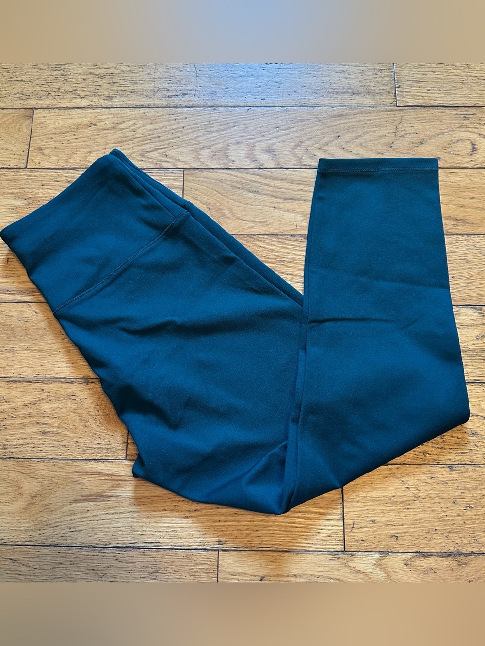 Teal Gaiam leggings